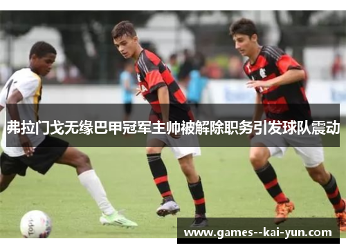 弗拉门戈无缘巴甲冠军主帅被解除职务引发球队震动