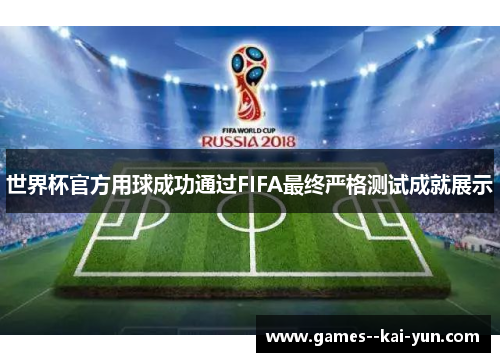 世界杯官方用球成功通过FIFA最终严格测试成就展示